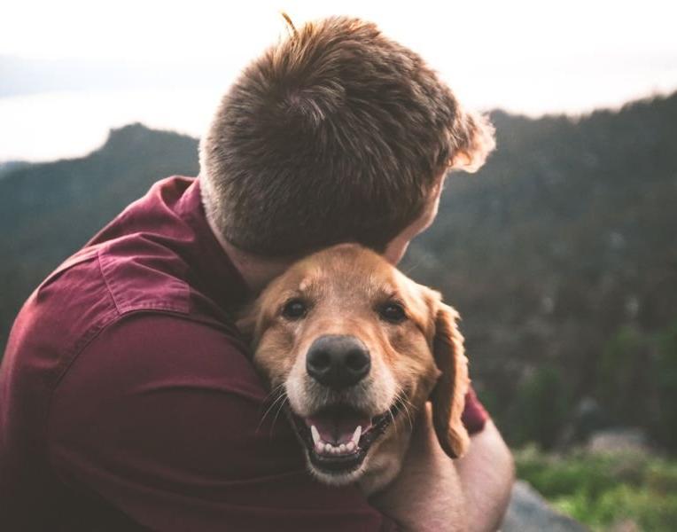 Pet Friendly Space Hotels Pet Friendly Space Hotels